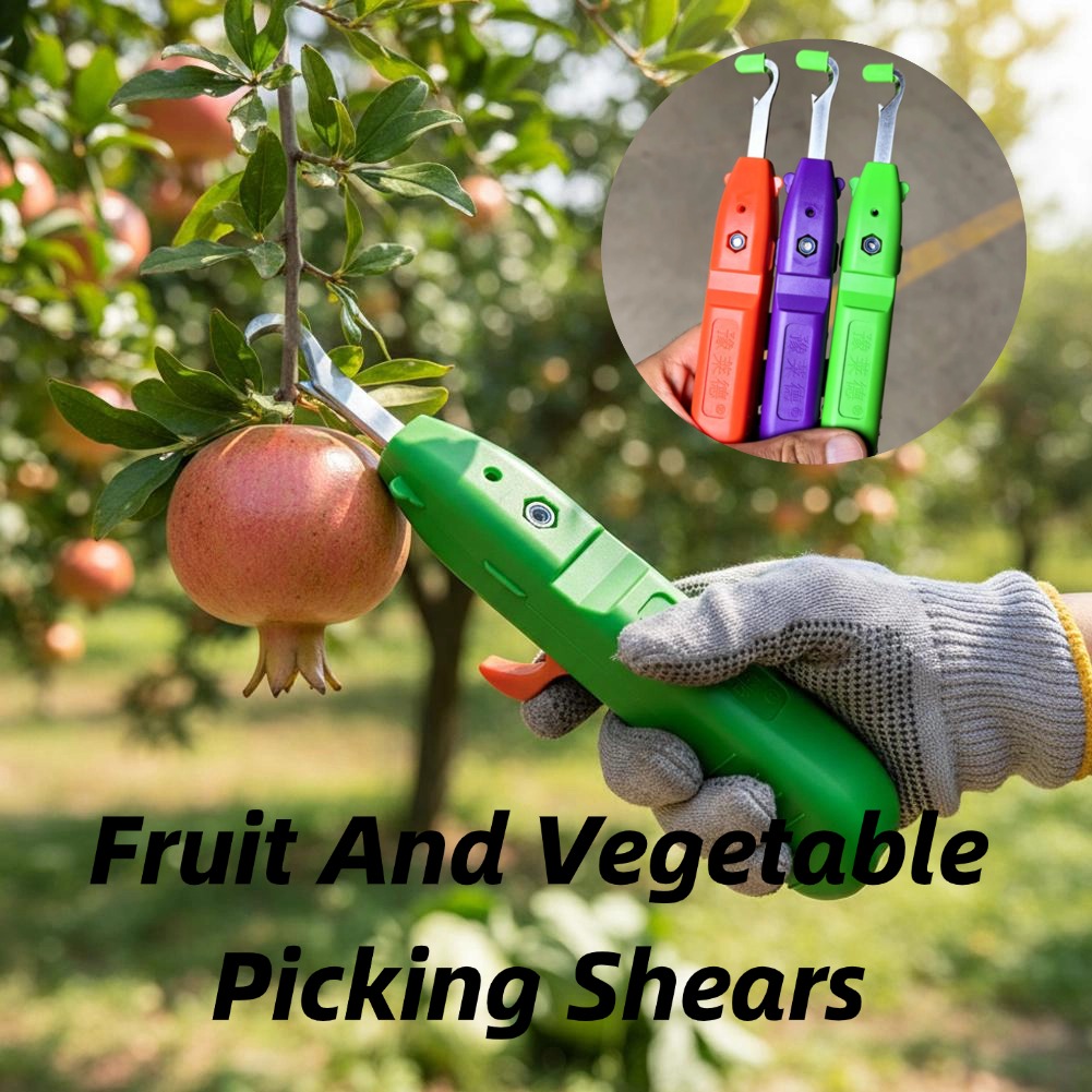 Gardening Tools Scissors - กรรไกรตัดผลไม้และผัก กรรไกรตัดแต่งกิ่งในสวน ใบมีดโค้ง เครื่องมือเก็บเกี่ยว สำหรับเก็บเกี่ยวองุ่นและพริก