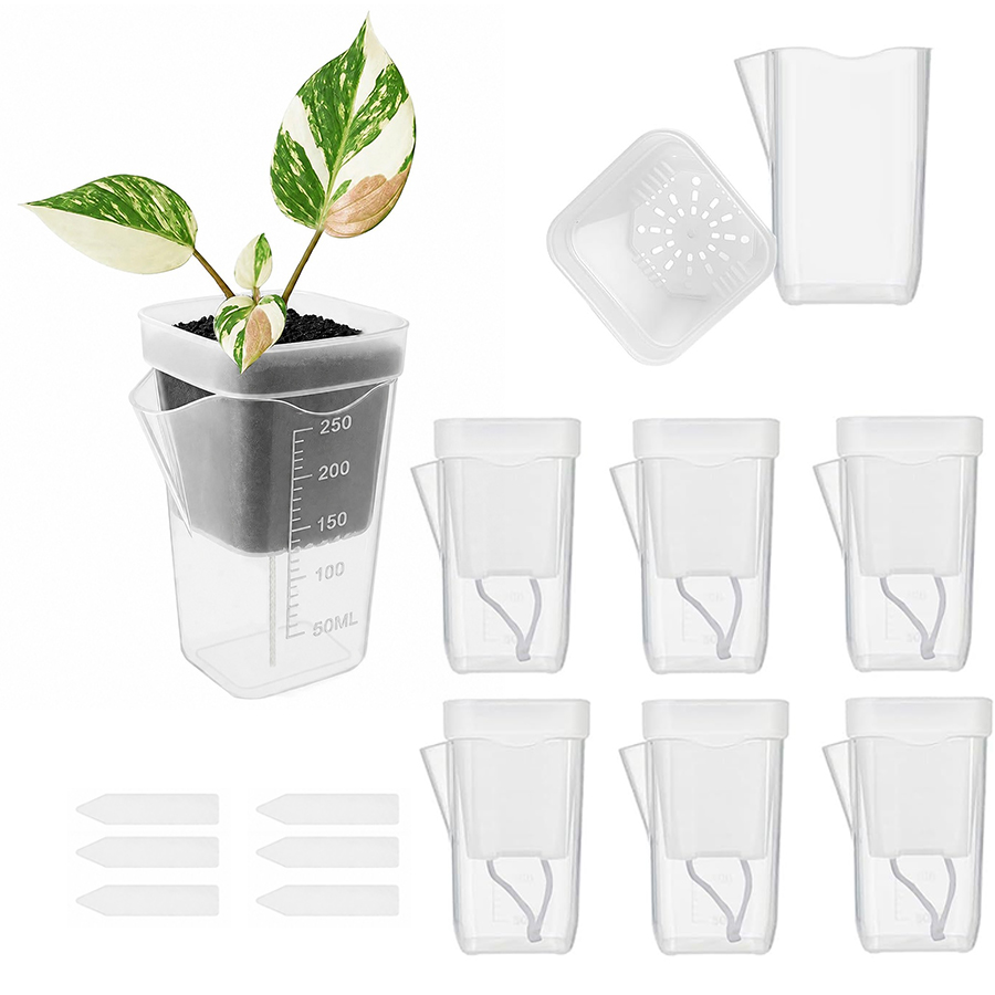 Gardening Tools Kit For Home Garden - ชุดอุปกรณ์ปลูกต้นไม้แบบรดน้ำเอง 12/24 ชิ้น พร้อมเหยือกวัดปริมาณน้ำ กระถางต้นไม้ตกแต่งโต๊ะ เหมาะสำหรับบ้านและสำนักงาน