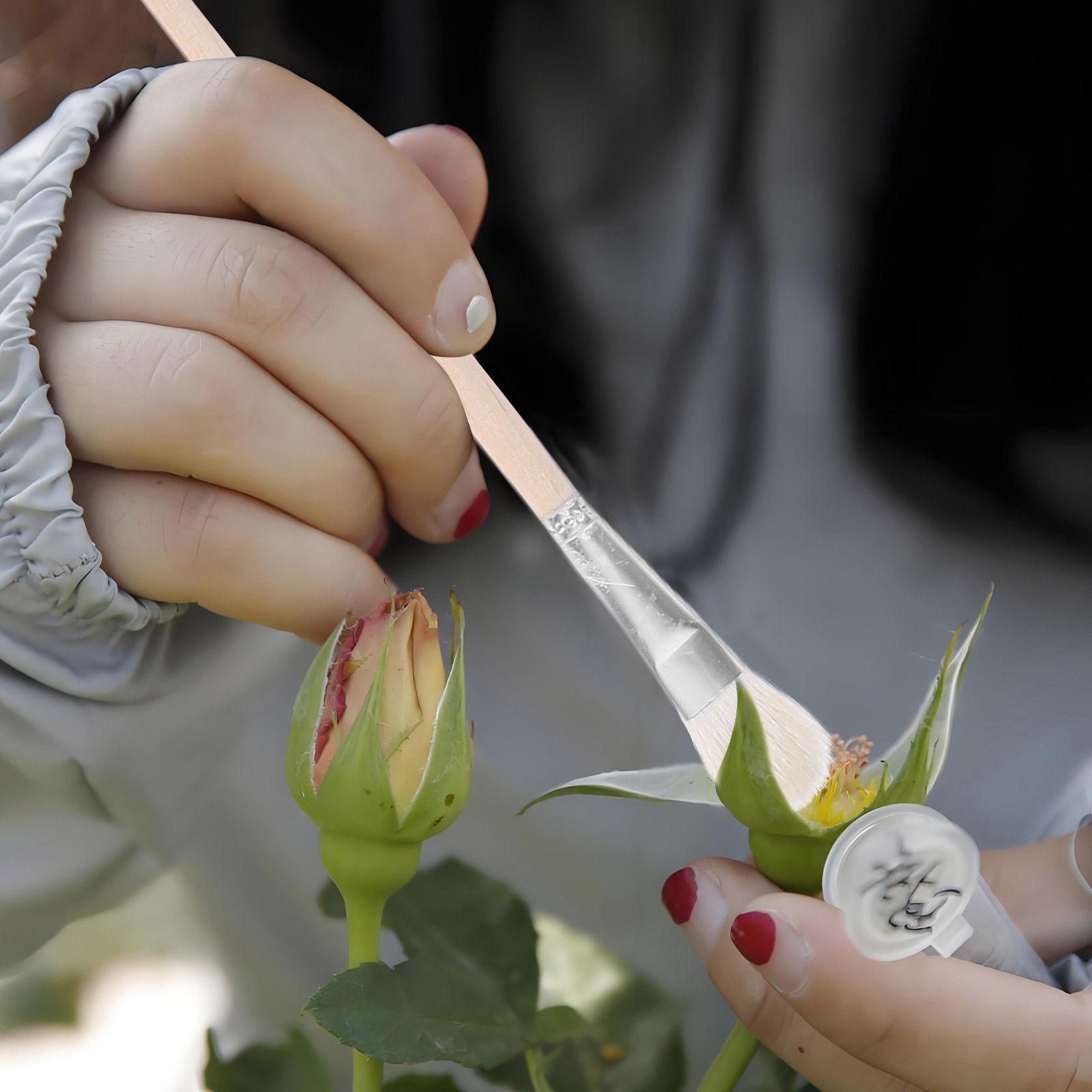 ชุดแปรงเก็บฝุ่นละอองแบบใช้มือ  - Gardening Tools Kit บทวิจารณ์และราคา