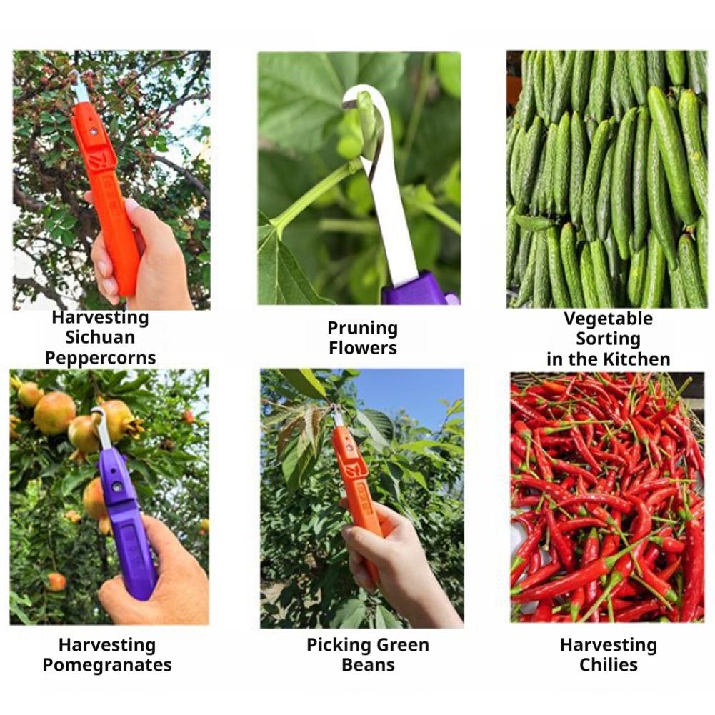 กรรไกรตัดแต่งกิ่งสำหรับทำสวน เ - Gardening Tools Scissors บทวิจารณ์และราคา
