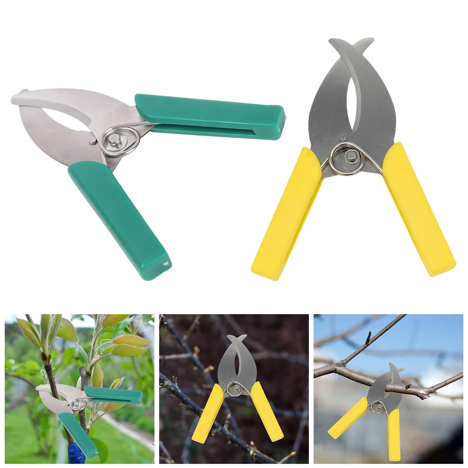 แหวน Barking เครื่องตัดกรรไกรส - Gardening Tools Scissors บทวิจารณ์และราคา