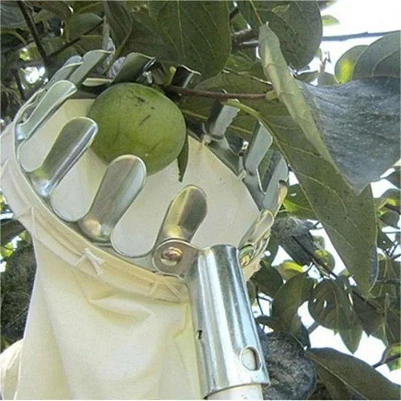 เครื่องหยิบผลไม้ในสวน, เครื่อง - Gardening Tools Scissors บทวิจารณ์และราคา