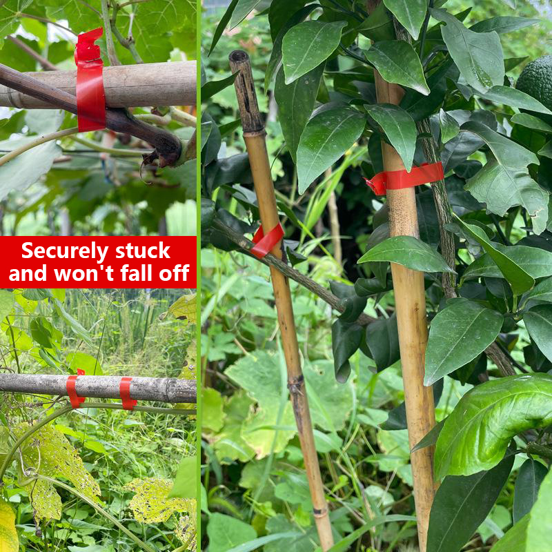 เครื่องมัดกิ่งไม้ในสวน เครื่อง - Gardening Tools Kit For Home Garden บทวิจารณ์และราคา