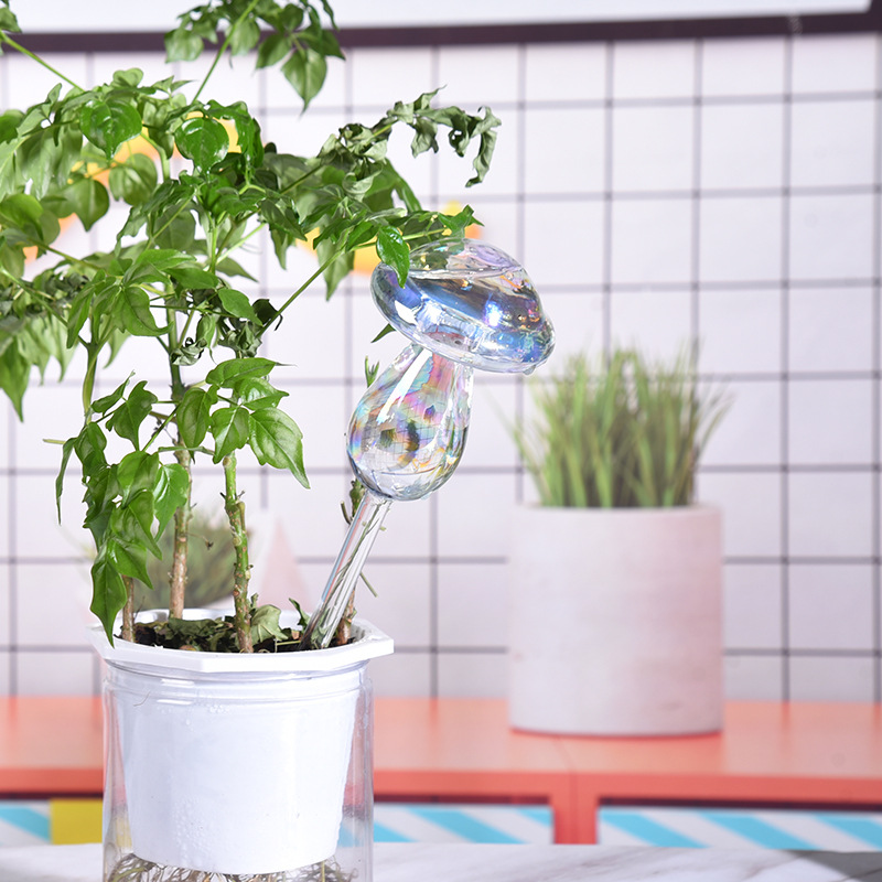 1/2PCS แก้วฟางพืชรดน้ําอัตโนมั - Gardening Tools Kit For Home Garden บทวิจารณ์และราคา