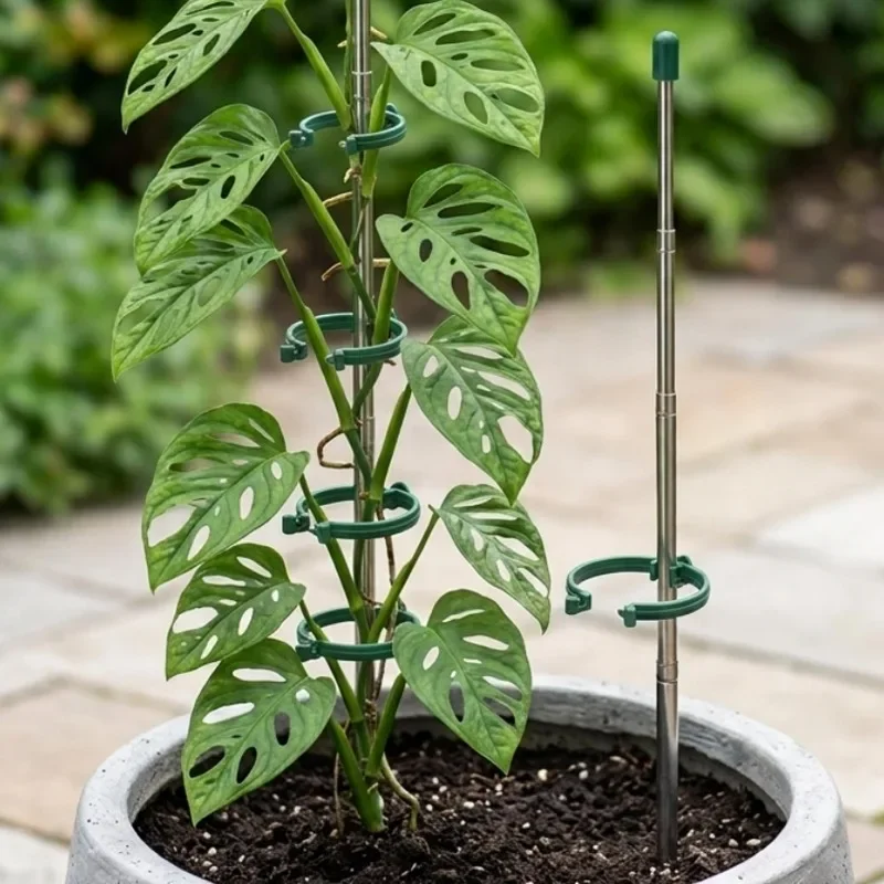 วงแหวนรองรับต้นไม้แบบยืดหดได้  - Gardening Tools Hoe บทวิจารณ์และราคา
