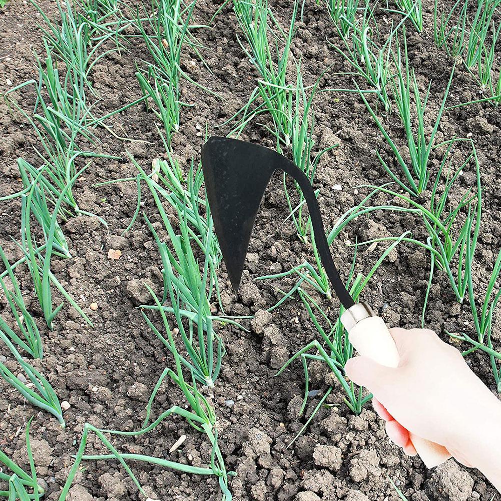 จอบเครื่องมือการเกษตรทรงสามเหล - Gardening Tools Hoe บทวิจารณ์และราคา