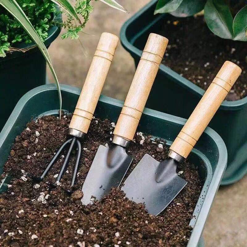 ชุดเครื่องมือทำสวนขนาดเล็ก 3 ช - Gardening Tools Hoe บทวิจารณ์และราคา