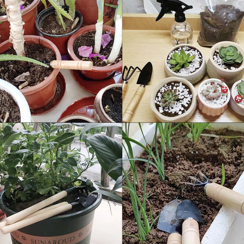 ชุดเครื่องมือทำสวนขนาดเล็ก 3 ช - Gardening Tools Hoe บทวิจารณ์และราคา