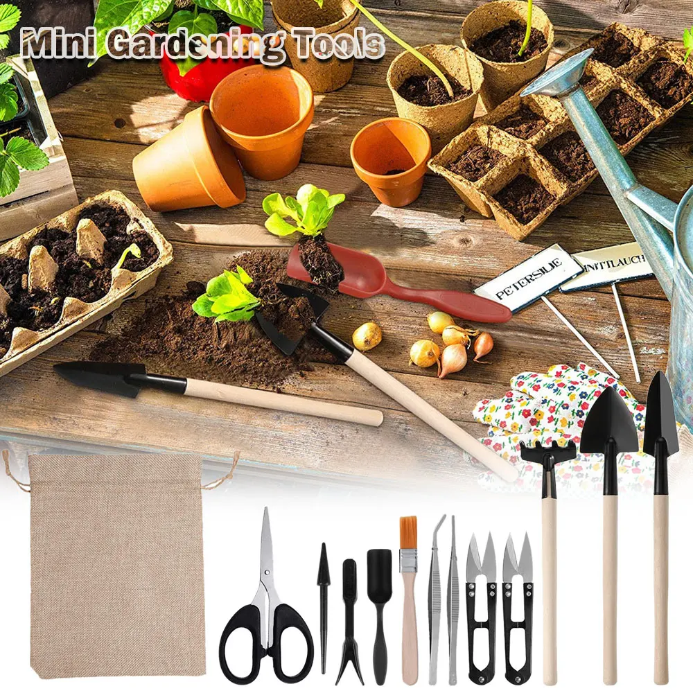 ชุดเครื่องมือปลูกพืชอวบน้ำ13ชิ - Gardening Tools Kit For Home Garden บทวิจารณ์และราคา