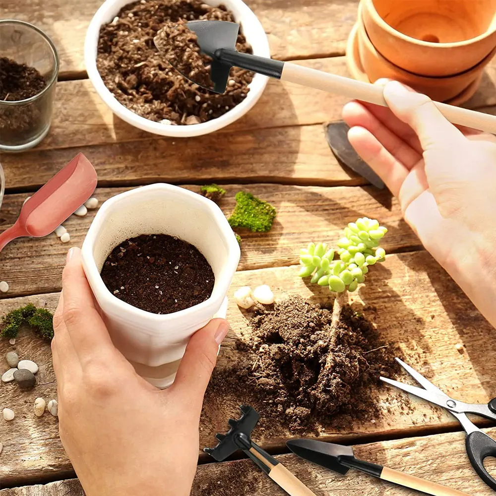 ชุดเครื่องมือปลูกพืชอวบน้ำ13ชิ - Gardening Tools Kit For Home Garden บทวิจารณ์และราคา