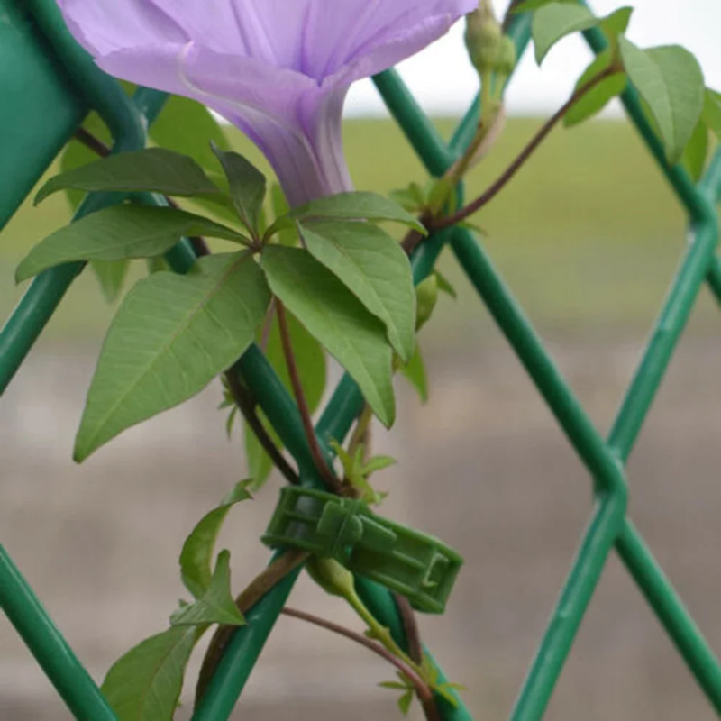 100 PCS/พืชสนับสนุนคลิปผูกพลาส - Gardening Tools Hoe บทวิจารณ์และราคา