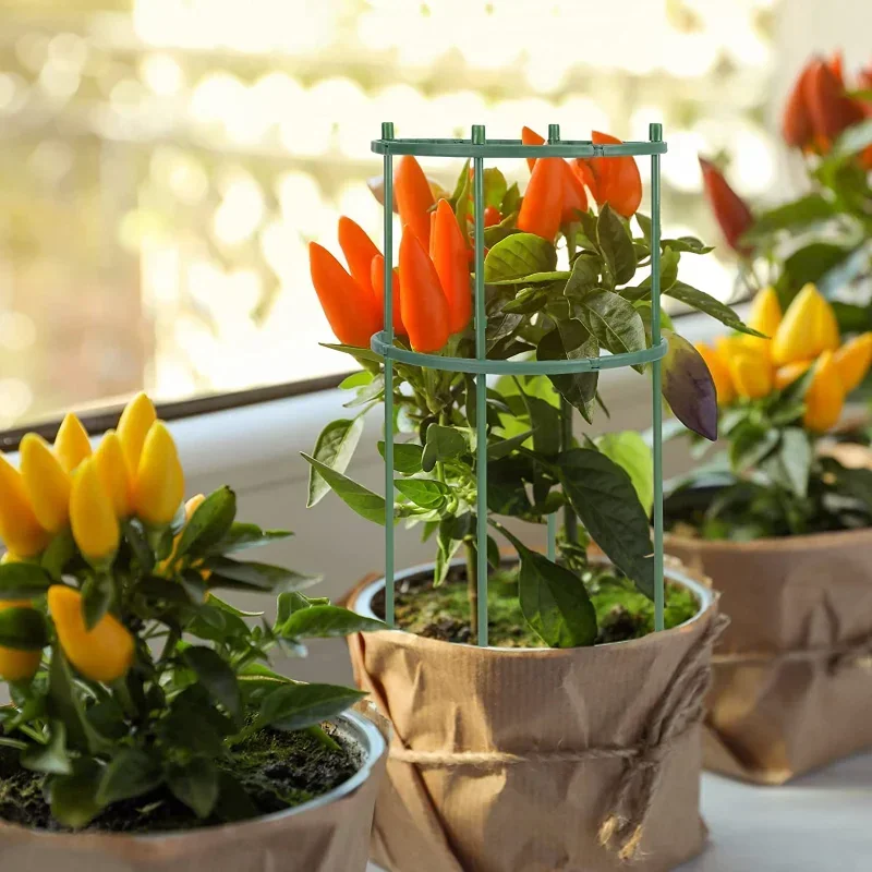 เสาค้ำต้นไม้พลาสติก สำหรับดอกไ - Gardening Tools Hoe บทวิจารณ์และราคา