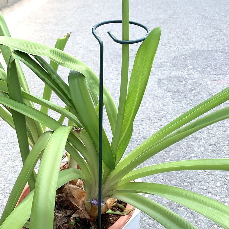 1-10pcs โลหะ SINGLE Stem พืชไม - Gardening Tools Hoe บทวิจารณ์และราคา