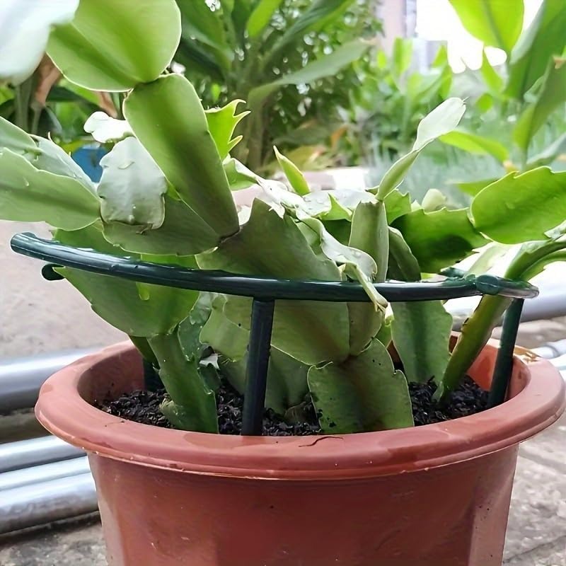 เสาค้ำต้นไม้พลาสติกแบบครึ่งวงก - Gardening Tools Hoe บทวิจารณ์และราคา