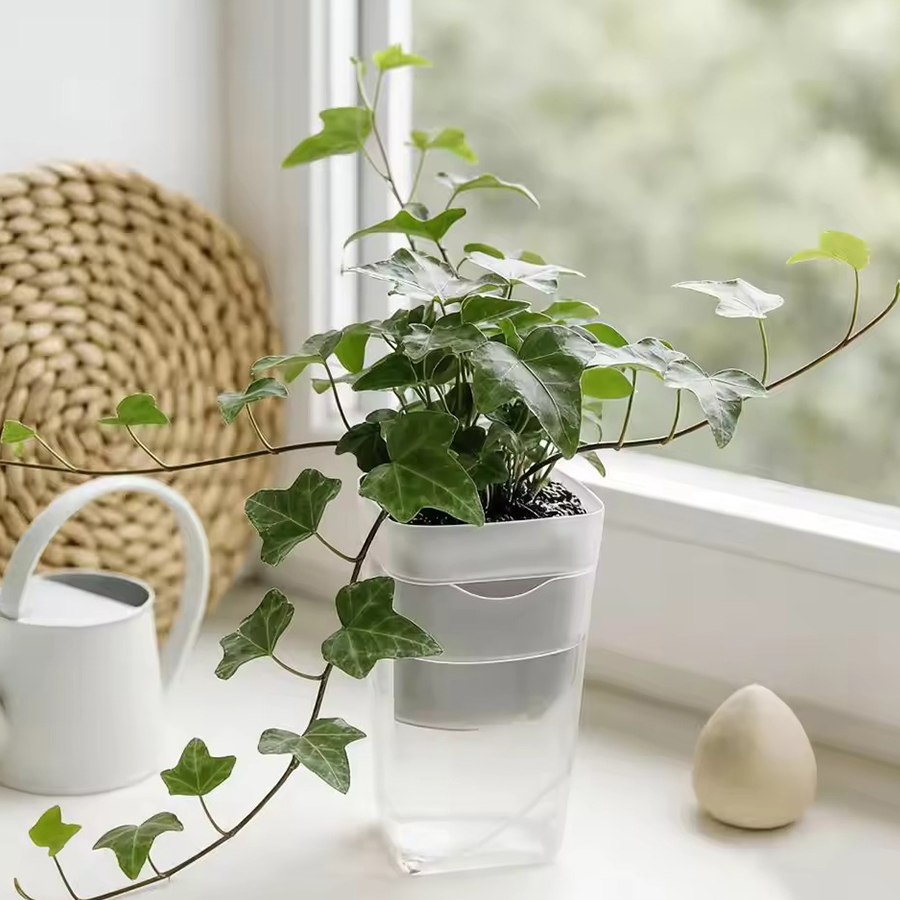 ชุดอุปกรณ์ปลูกต้นไม้แบบรดน้ำเอ - Gardening Tools Kit For Home Garden บทวิจารณ์และราคา